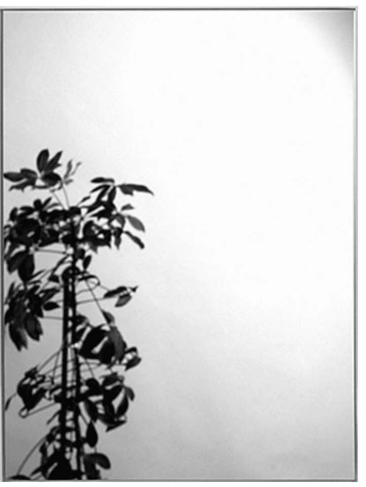 sanibel 1001 Spiegel rechteckig A21 700x500mm ohne Befestigung – Bild 1